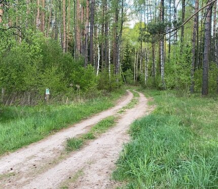 Участок 25 соток, рядом возможно присоединение еще 25, деревня хуторского типа - 3 дома в лесу, уединенное место, недалеко водоем, на участке сейчас фундамент монолитный, под проект, проект так же есть, есть скважина, но без насоса, подведено электричество, выделен щиток. Прошу писать/ звонить преимущественно в телеграмм