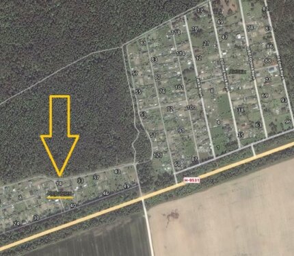 Редкий вариант. Участок среди леса, в 40 км от Минска