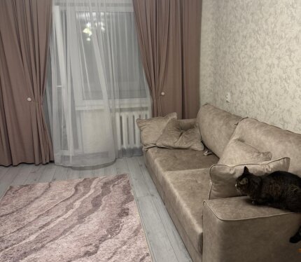 Комната в 3 комнатной квартире, 18 метров, с балконом , с мебелью : новый диван , большой шкаф-купе, телевизор с космосТВ. Проходная, рядом девушка в комнате, очень спокойная, аккуратная . В третьей комнате хозяйка . На кухне вся бытовая техника , новая современная кухня , посудомоечная машина , хороший ремонт , новая стиральная машина . Мы ищем спокойную, аккуратную, для комфортного проживания вместе. Никаких гостей и тусовок . Мы работаем , дома комфортный спокойный отдых .