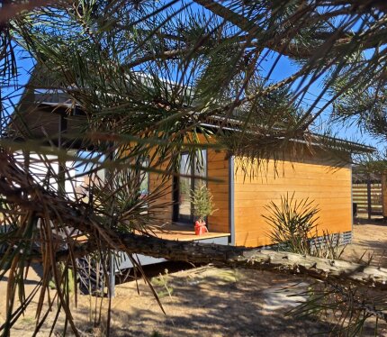 Уютный дом около леса с готовым ремонтом и мебелью, а так же зонами для отдыха!