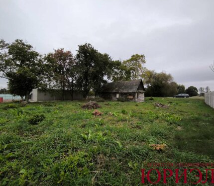 Лот. 74325 Земельный участок, д. Рачки