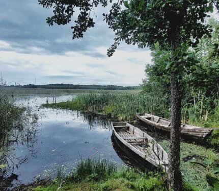 Фотография объекта