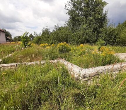 Участок 22сот. на берегу р. Центрица (слияние с Березиной) в д.Винорово.