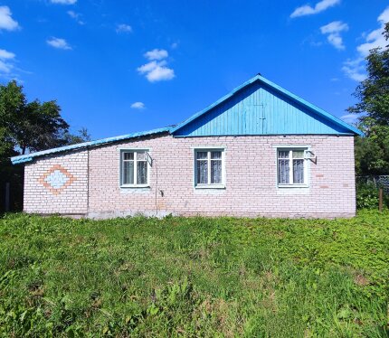 1. Удобное расположение: 1км от трассы М1, 7км до Борисова и ж/д станции. Остановка рядом. Дороги хорошие, заезд в любую погоду. 2. Развитая инфраструктура: в деревне есть магазины (в т.ч. «Евроопт»), школа, детсад, амбулатория, банк, почта. 3. Комфортный