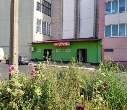 Помещение магазина под любой вид деятельности. Магазин оборудован: охранной сигнализацией на пульт Департамента охраны, пожарной сигнализацией `Молния` на пульт МЧС, системой видеонаблюдения в торговом зале, складе и перед магазином, интернет - оптоволокно, телефон, кондиционер, водопровод и центральная канализация. Перед магазином территория, выложенная из тротуарной плитки. Своя отдельная кабельная линия 15 кВт. Площадь земельного участка закреплённого за магазином 0, 0099 га.