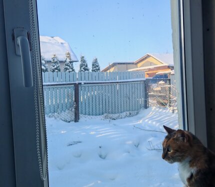 Дом блокированный, на 2 квартиры. Отдельный вход, участки разделены новым забором. Дом 1975 года постройки. В доме 3 изолированные жилые комнаты, кухня 8,9 м.кв., санузел: душ и туалет, большая кладовая. Требуется косметический ремонт.