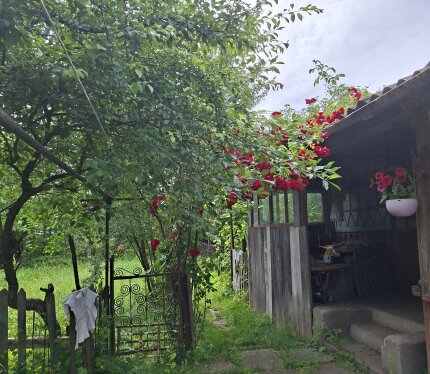 Фотография объекта