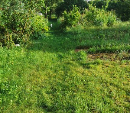 Преимущества: Ровный участок правильной формы. Удобный подъезд. Электричество. Сезонная вода. Забор с 3 сторон. Ж/д станция Романы — около 20 минут пешком. Спокойное товарищество без плотной застройки. Вокруг лесной массив, тихое место. На участке есть теплица 3×8 и хозяйственная постройка (старый вагон, под снос или хранение) .Отлично подойдёт для дачи или строительства. Доступно подключение к оптоволоконному интернету. Звоните / пишите — отвечу на вопросы и покажу участок