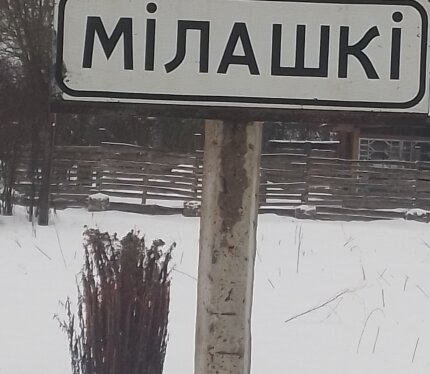 Продам земельный участок для ведения ЛПХ. В частной собственности, на берегу озера. С возможностью деления на два (для строительства и лпх).