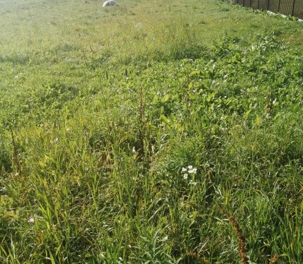 Продам участок в деревне с развитой инфраструктурой, окруженный зеленью и свежим воздухом. Недалеко находится живописный водоем, что создаёт уютную атмосферу для отдыха или проживания. Преимущества: перспективный участок, хорошая подъездная дорога, рядом газ и электроснабжение. Это отличное вложение для тех, кто ищет тихое место недалеко от города с перспективой развития!