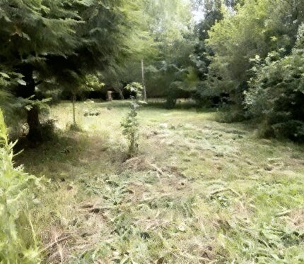 Продаётся участок посреди леса 10,52 соток в 20 километрах от Минска.