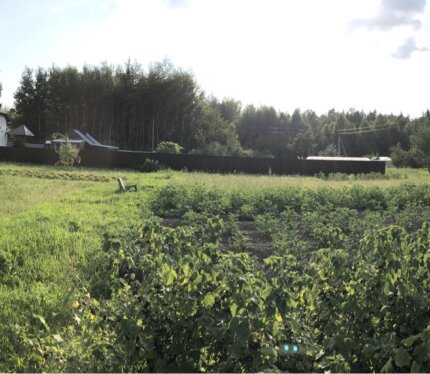 Продается земельный участок 10.18 соток в частной собственности 30 км от МКАД в ст «Высокое». Молодеченское направление ( аг ) Петрышки. Отличный участок, дружное товарищество, со всех сторон окружен лесом. На участке подведена сезонная вода . Развитая инфраструктура: ( сельскохозяйственный рынок домашней продукции , евроопт ,мясной смак, дорорс + приезжает автолавка .) почта ,поликлиника , аптека. Все что надо для отдыха ( грибы , рыбалка , прогулки по лесу, икк «линия сталина») 