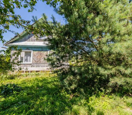 Продается уютный бревенчатый дом в Логойском районе!