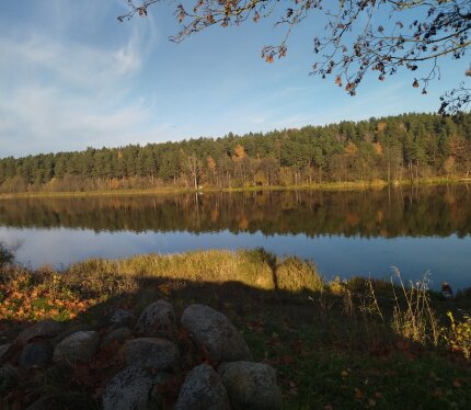 Участок с фундаментом, в шикарном месте! Река Неман в 50м (3 Минуты ходьбы), рядом с деревней лес с грибными местами. Хорошая асфальтированная дорога до самого участка! 30км от Гродно. Новая линия электропередач , рассчитано на электроотопление.