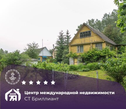 Самое время купить дачу в окружении леса!