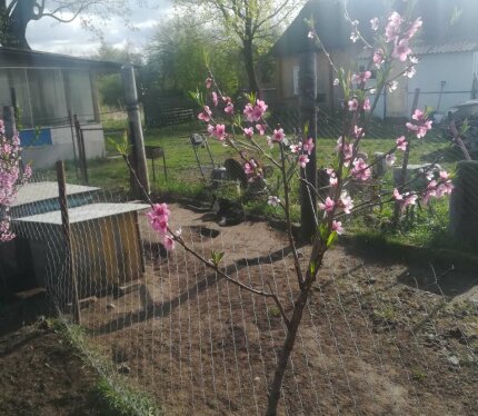 Уютный дом в деревне Филоновцы, Лидский район