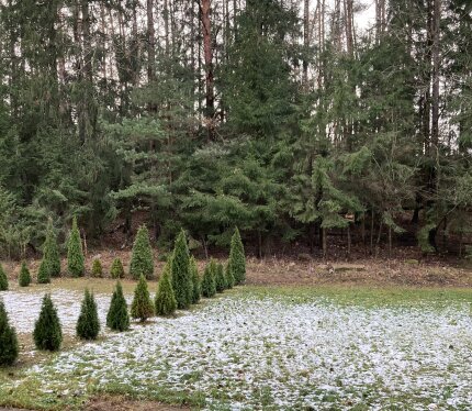 Ваш просторный кирпичный трёхуровневый таунхаус 11.2021 г.п. площадью СНБ 261.7 м2 с собственным земельным участком в окружении заповедного леса, который совмещает преимущества городской квартиры и загородного дома. Входная дверь с улицы с терморазрывом.