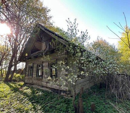 Фотография объекта