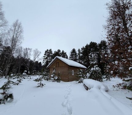 Уникальное предложение! Уединенный дом в живописном лесу!