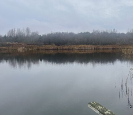 Фотография объекта