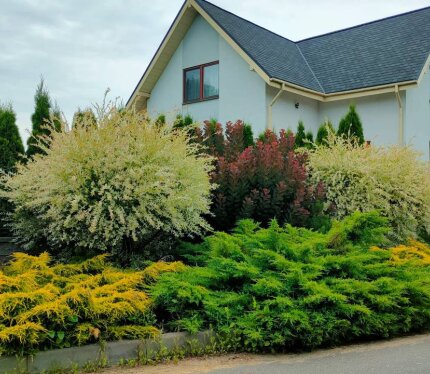 Продаётся современный дом в Несвиже, в элитном районе, полностью готовый для комфортной жизни. Уютный и тёплый. Тихий зелёный район, напротив озеро , пешая доступность к инфраструктуре и достопримечательностям. Дом площадью 187 кв. м не требует инвестиций.В доме 2 этажа, 3 спальни, гостиная с камином, тёплые полы, вентиляция с рекуперацией, качественное энергоэффективное строительство. Угловой участок с ландшафтным дизайном, авторская беседка с каменной печкой-барбекю.