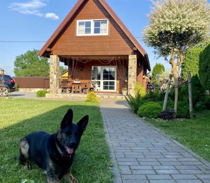 Объявление