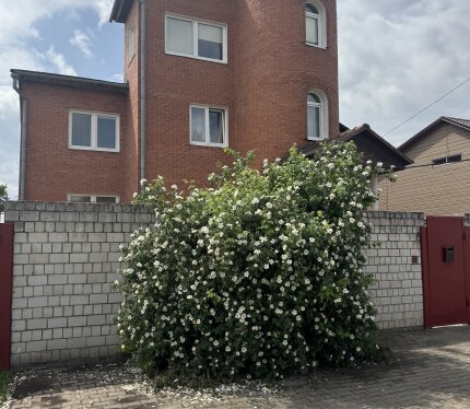 Объявление