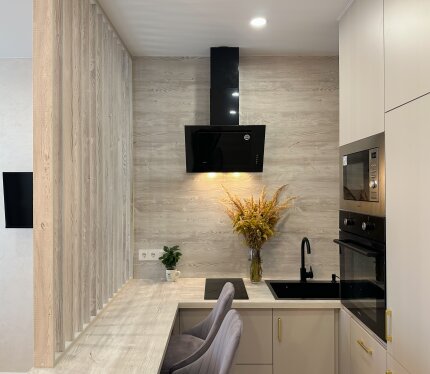 Продажа дизайнерской студии 29,7 м2 по СНБ, ул. Алферова 7