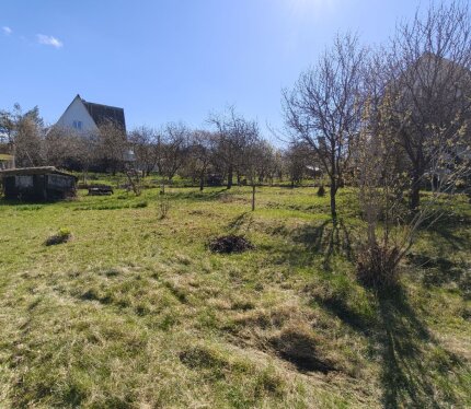 Участок с небольшой хозяйственной постройкой. Рядом магазин, ж/д станция, остановка маршрутки. Вода сезонная. Электричество в хоз. постройке. На территории участка имеются плодовые деревья и кусты 