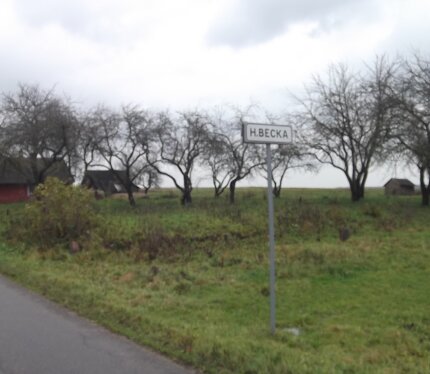 Участок с домом (под ремонт или снос). Участок в недвижимостью хорош тем, что не поджимают сроки по завершению строительства или реконструкции. Деревня маленькая, пару домов, в полутора километрах от большого аг.Погоща и озера. На участке есть небольшой водоем, участок крайний. Идеальное место для тихого отдыха с минимумом соседей, рядом с развитой инфраструктурой агрогородка.