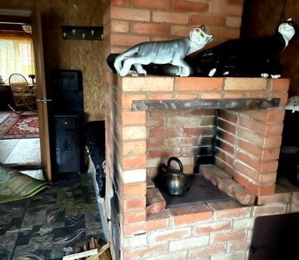 Атмосферная дача в живописном, красивом уголке Белорусской природы. Дом обустроен в белорусском колорите. Можно приготовить невероятно вкусную еду в настоящей печке. Просто поваляться-погреться с книжкой в руках на печке-лежанке :) Провести романтический ужин около камина. Поиграть в бильярд. Пригласить друзей и провести весело время на волшебной веранде. Классно попариться в баньке.Сходить на рыбалку на красивое озеро с водопадом и лебедями. Если Вы об этом мечтаете - Добро похаловать!