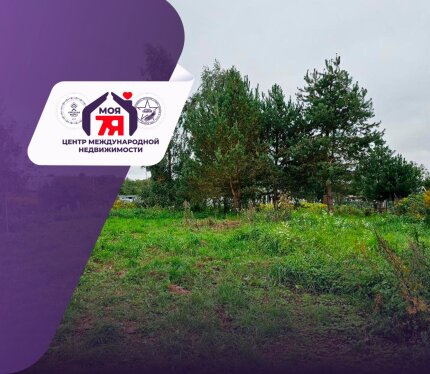 Идеальное место для дачи