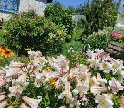 Дача в черте города ,район Песковатик