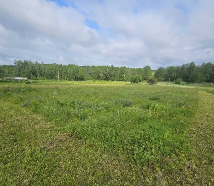 Предлагаем к покупке участок для строительства и обслуживания жилого дома в д.Дуброва.