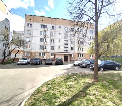 Просторная однокомнатная квартира