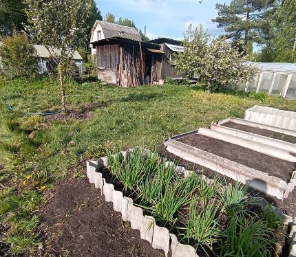 Участок в СТ Надежда-Проект Пуховичский район. Озеро Узляны 4 км от участка, озеро Материнское в 10 км. Ближайшая жд станция Равнополье, ходит маршрутка до Минска. На участке есть постройка, можно переночевать, вода сезонная, туалет под септик, столб электро возле участка. На участке посажены 2 яблоки, вишни, слива, голубика, смородина, крыжовник, ирга, туи, пионы, тюльпаны. 