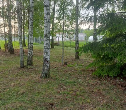 Участок 10 соток в СТ «Черёмушки-люкс» - 4 км г.Дзержинск