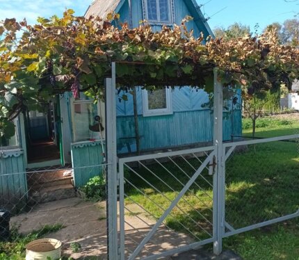 Продаётся дача в СТ `Луговцы` Оршанского района.