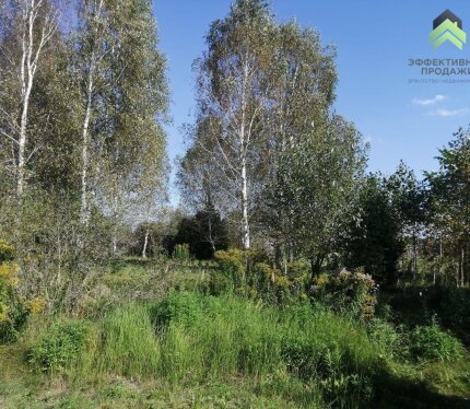 50 соток у леса и озера, д. Новины, Воложинский район