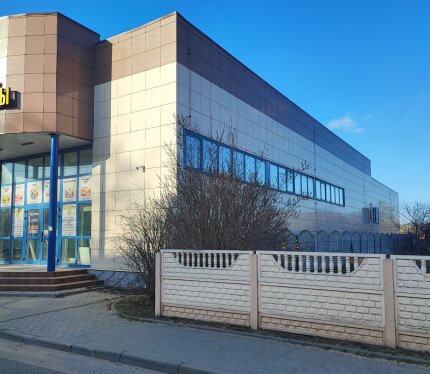 Наименование - Здание торгово-складских помещений для магазина продовольственных товаров по улице Гагарина в городе Скидель;
