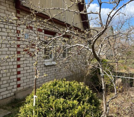 Сдам дачу в аренду на сезон. Можно заезжать сегодня. 36 км от МКАД. Участок 6 соток, ровный, на участке растут яблони, сливы, грецкий орех, виноград, смородина, крыжовник, вишни. Вода сезонная, подведена в дом на кухню с подогревом. Кухня оборудована небольшой плиткой с духовкой и холодильником. Дом состоит из трех комнат, 5-6 спальных мест, камин, печь и печка для готовки. Санузел био на улице. Рядом лес и Дзержинское водохранилище, санаторий Веста. Раз в неделю приезжает автолавка. Паркоместо
