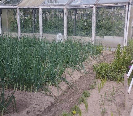 Фотография объекта