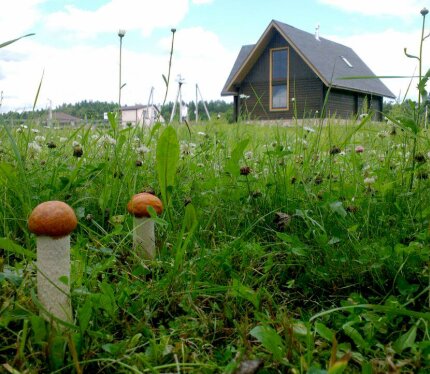 Коттедж на лесном озере Должа