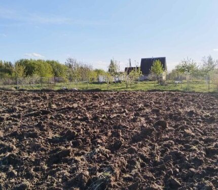 Земельный участок в СТ "Росинка" (Пуховичский район, Минская область) выглядит привлекательным вариантом для дачи или постоянного проживания благодаря удобному расположению и готовым улучшениям. Ровный крайнийучасток на границе с д. Новый Кут предлагает круглогодичный подъезд, близость к остановке электрички "Дричин" (10 минут пешком)