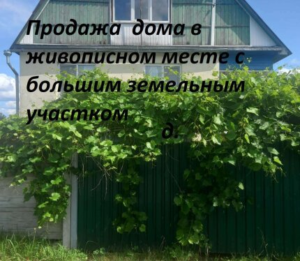 Дом с большим участком в живописном месте, который отлично подойдёт для бизнеса в сфере агротуризма.