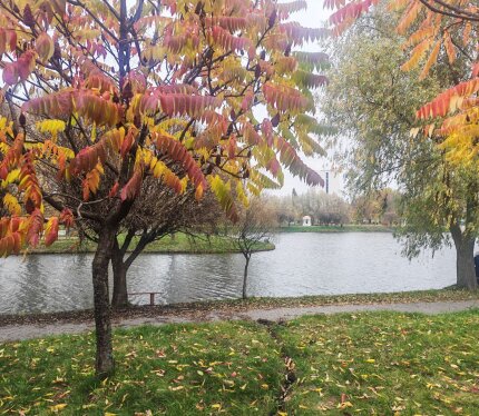 Полдома ул. Коммунальная 14. Возможен обмен на квартиру