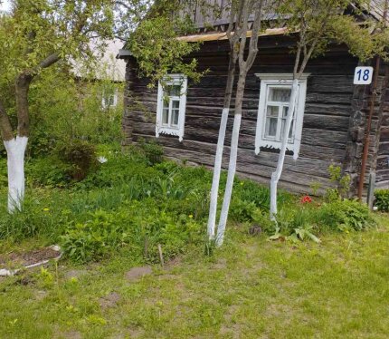 Продаётся бревенчатый дом в деревне Гольчичи. Слуцкий район. Участок 25 соток. Подведена холодная вода. Есть колодец. По улице проведён Газ. На участке есть 3 сарая. Погреб. Большой сад и огород перед домом. Растут плодовые деревья и кустарники, виноград.