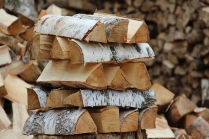 Фото