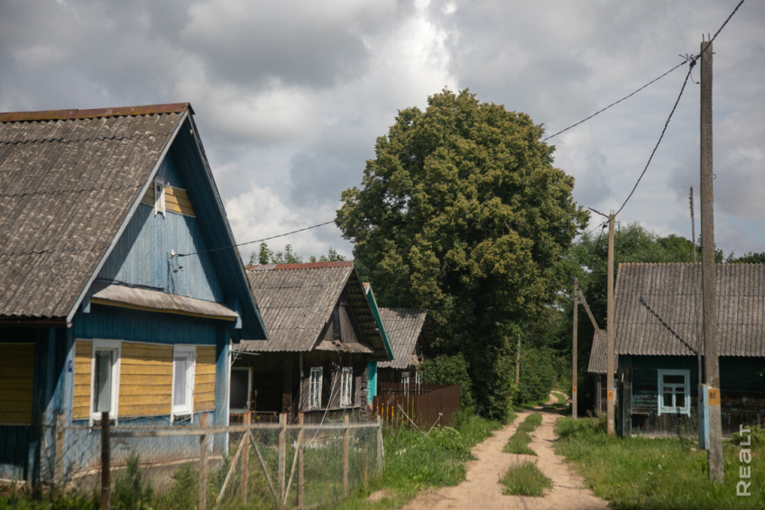 Фото носит иллюстративный характер.